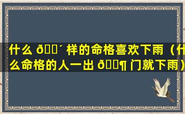 什么 🐴 样的命格喜欢下雨（什么命格的人一出 🐶 门就下雨）